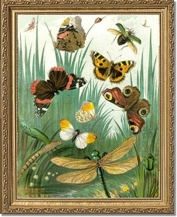 Butterflies #1 - Vintage Nature Wall Art | Victorian Wall Art Print