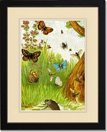 Butterflies | Victorian Wall Art Print