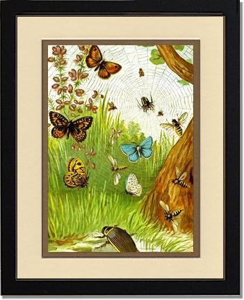 Butterflies | Victorian Wall Art Print