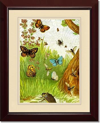 Butterflies | Victorian Wall Art Print