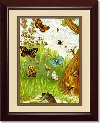 Butterflies | Victorian Wall Art Print