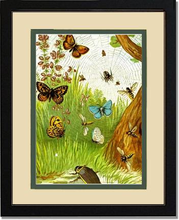 Butterflies | Victorian Wall Art Print