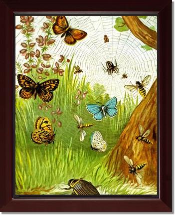 Butterflies | Victorian Wall Art Print