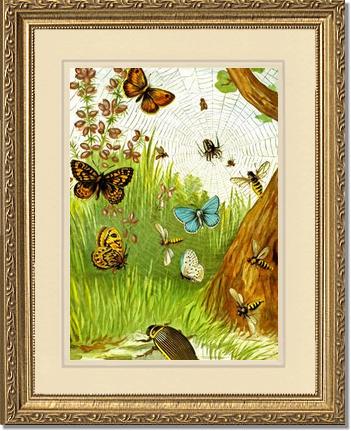 Butterflies | Victorian Wall Art Print
