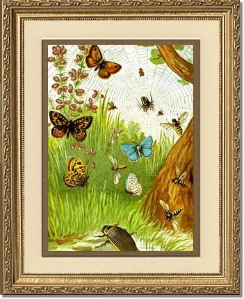 Butterflies | Victorian Wall Art Print