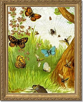Butterflies | Victorian Wall Art Print