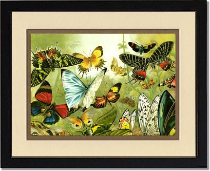 Victorian Print: Butterflies | Victorian Wall Art Print