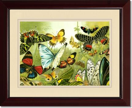 Victorian Print: Butterflies | Victorian Wall Art Print