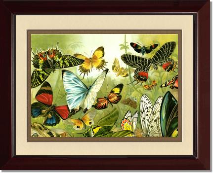 Victorian Print: Butterflies | Victorian Wall Art Print