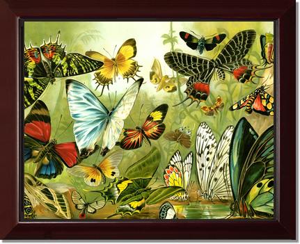 Victorian Print: Butterflies | Victorian Wall Art Print