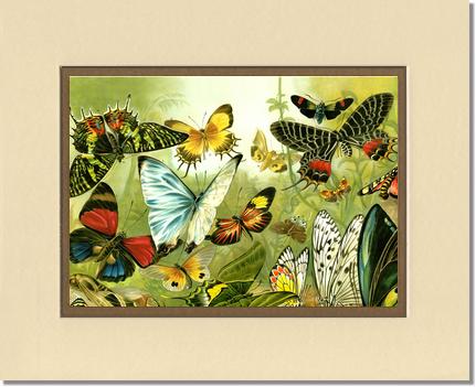 Victorian Print: Butterflies | Victorian Wall Art Print