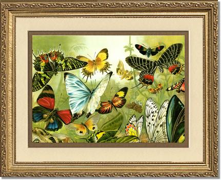 Victorian Print: Butterflies | Victorian Wall Art Print