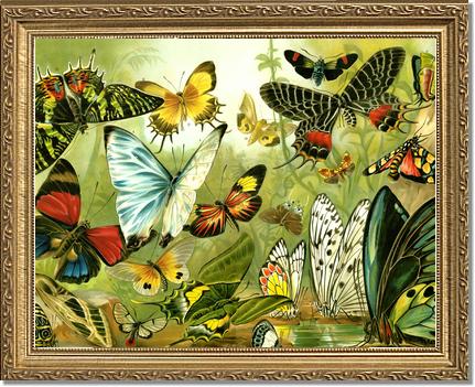 Victorian Print: Butterflies | Victorian Wall Art Print
