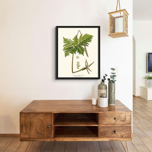 Virginia Grape Fern Botanical Wall Art Print-Charting Nature