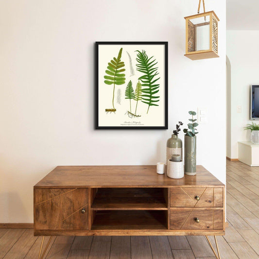 Scouler's Polypody Fern Botanical Wall Art Print-Charting Nature
