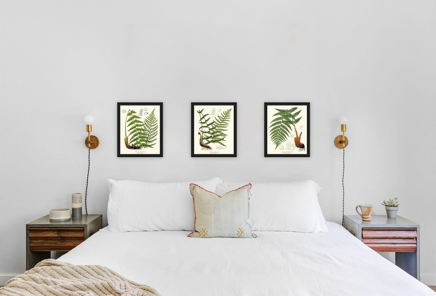 Vintage Fern Prints Set Botanical Wall Art Print-Charting Nature