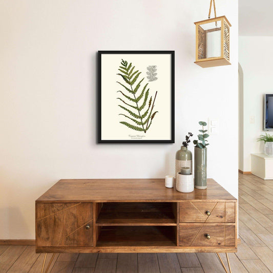 Virginia Chainfern Botanical Wall Art Print-Charting Nature