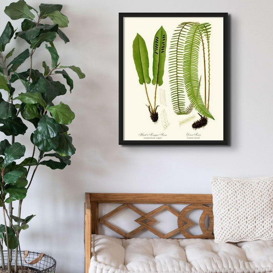 Hart's Tongue Fern Botanical Wall Art Print-Charting Nature