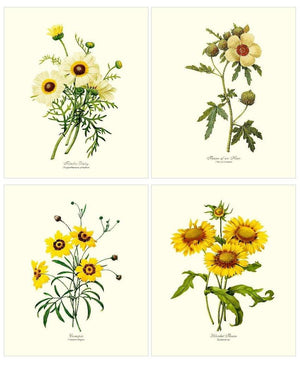 Vintage Yellow Flower Floral Botanical Print Set