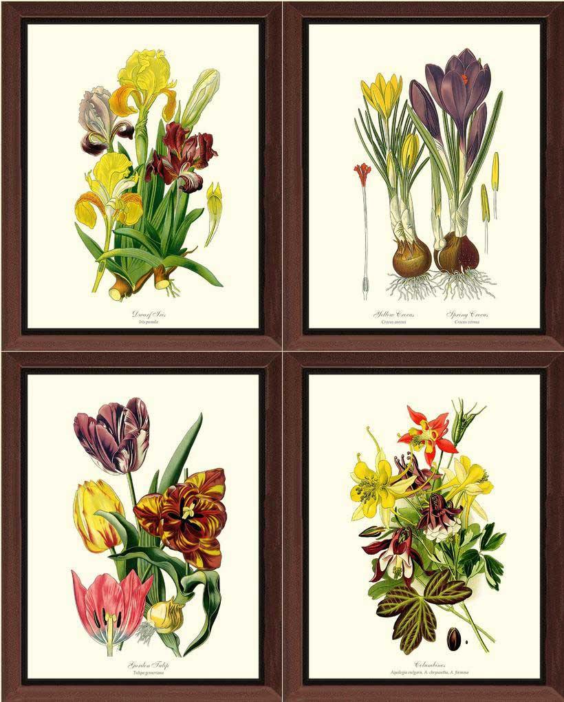 Spring Flower Print Set | Vintage Print Wall Art Decor - Charting Nature