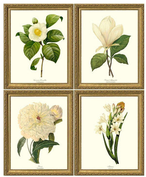 White Flower Botanical Prints Set