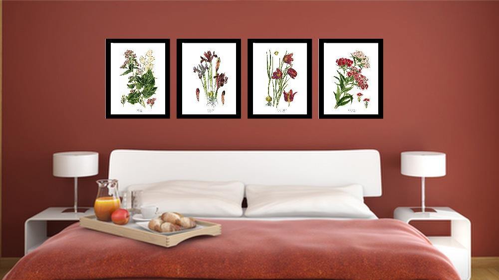 Violet Flower Set - Charting Nature