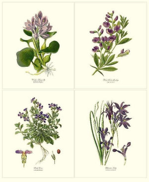 Vintage Flower Floral Botanical Print Set - Lavender