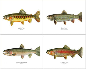 Vintage Trout Fish Prints: Golden Trout, Brook Trout, Cutthroat and Rainbow Trout.