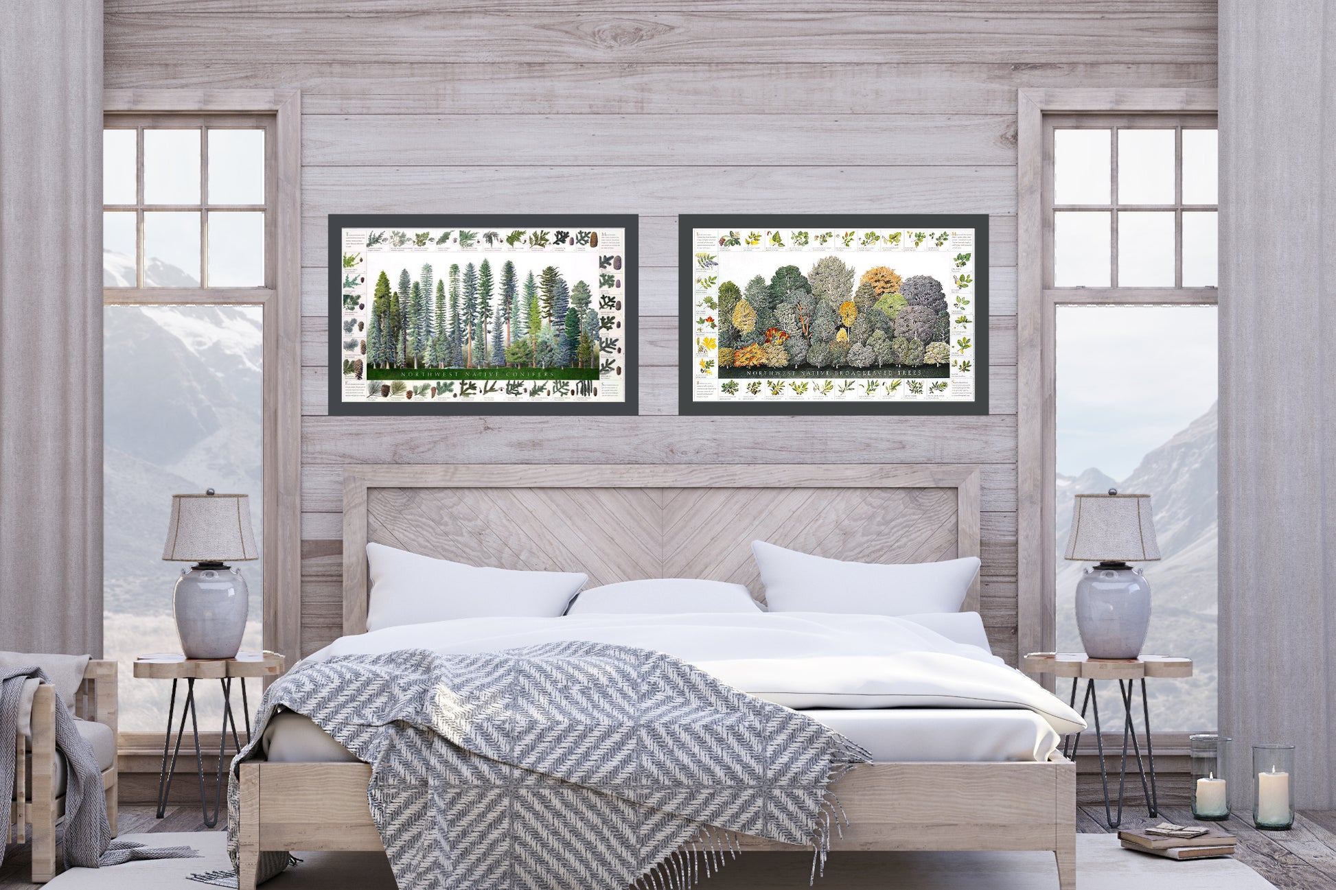 Northwest Conifer and Broadleaved Tree Poster