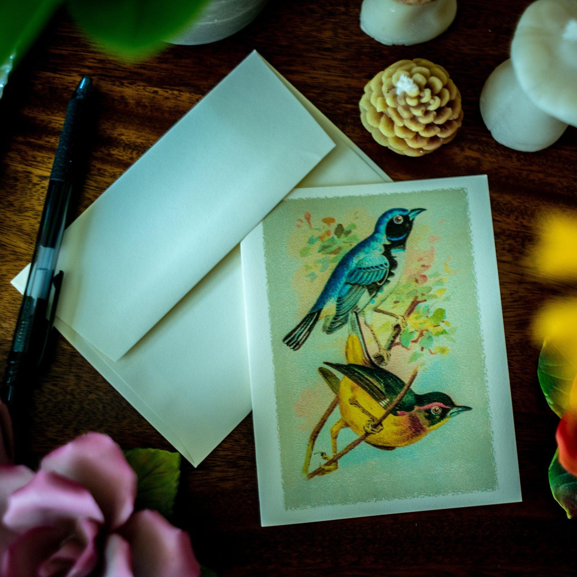 Antique Birds Notecards - Charting Nature