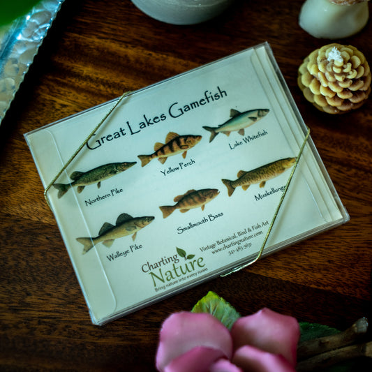 Great Lakes Gamefish | Fish Notecard Set