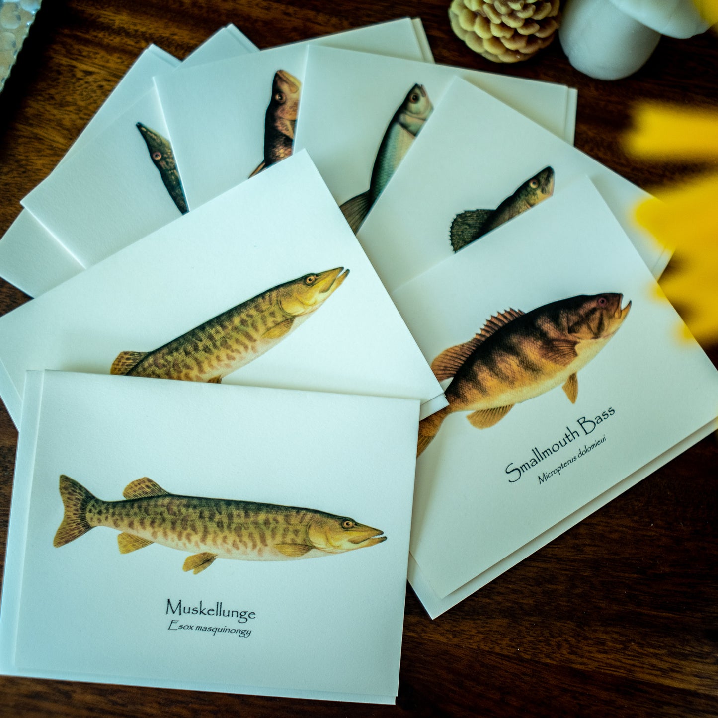 Great Lakes Gamefish | Fish Notecard Set