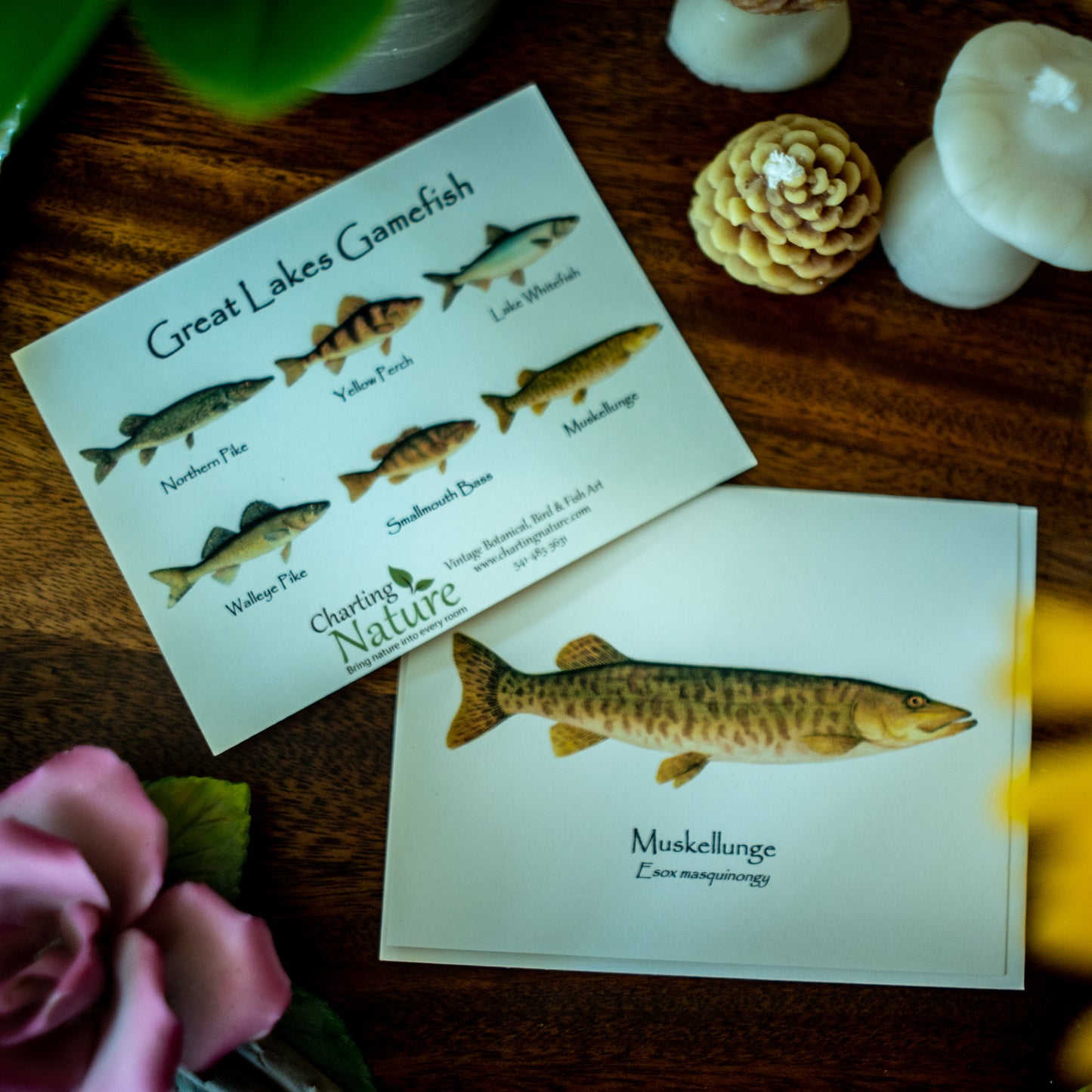 Great Lakes Gamefish | Fish Notecard Set