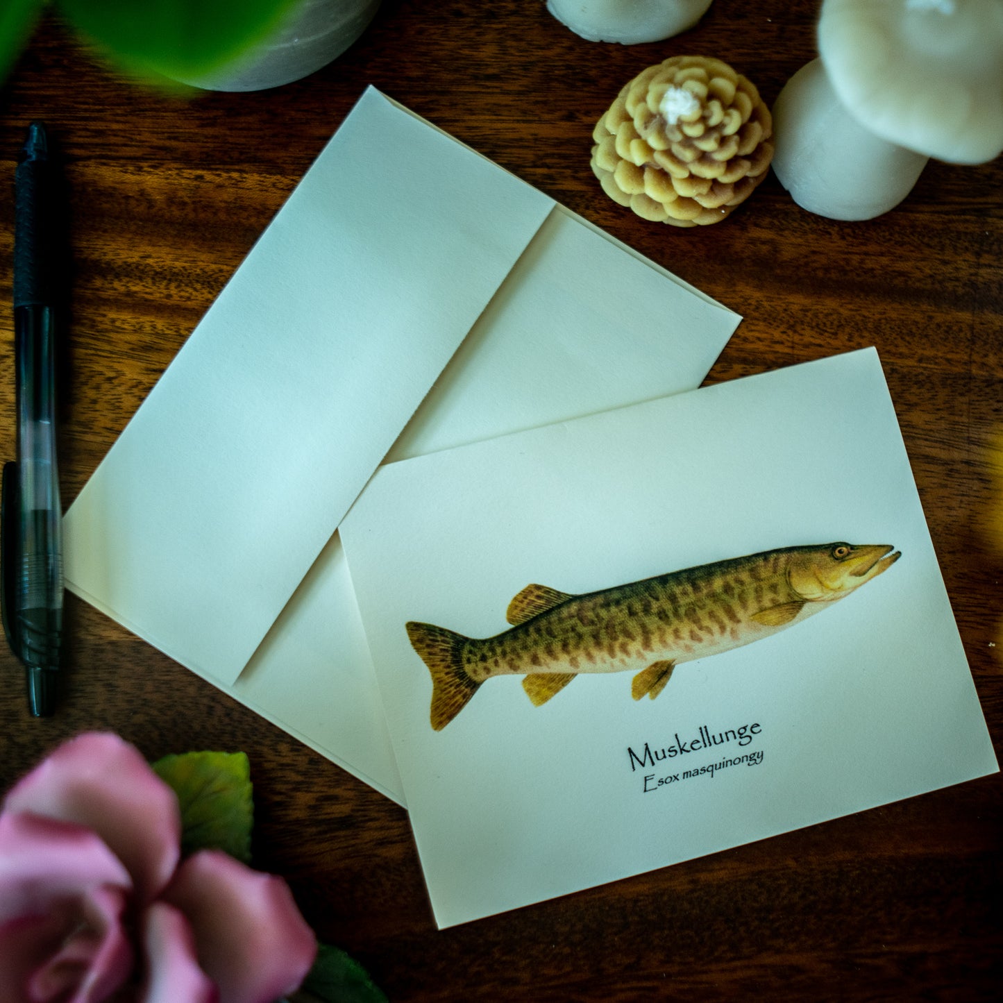 Great Lakes Gamefish | Fish Notecard Set