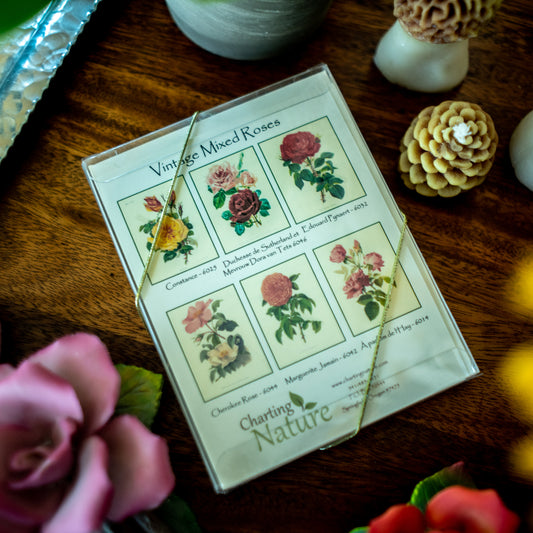 Mixed Roses | Vintage Botanical Note Card Set