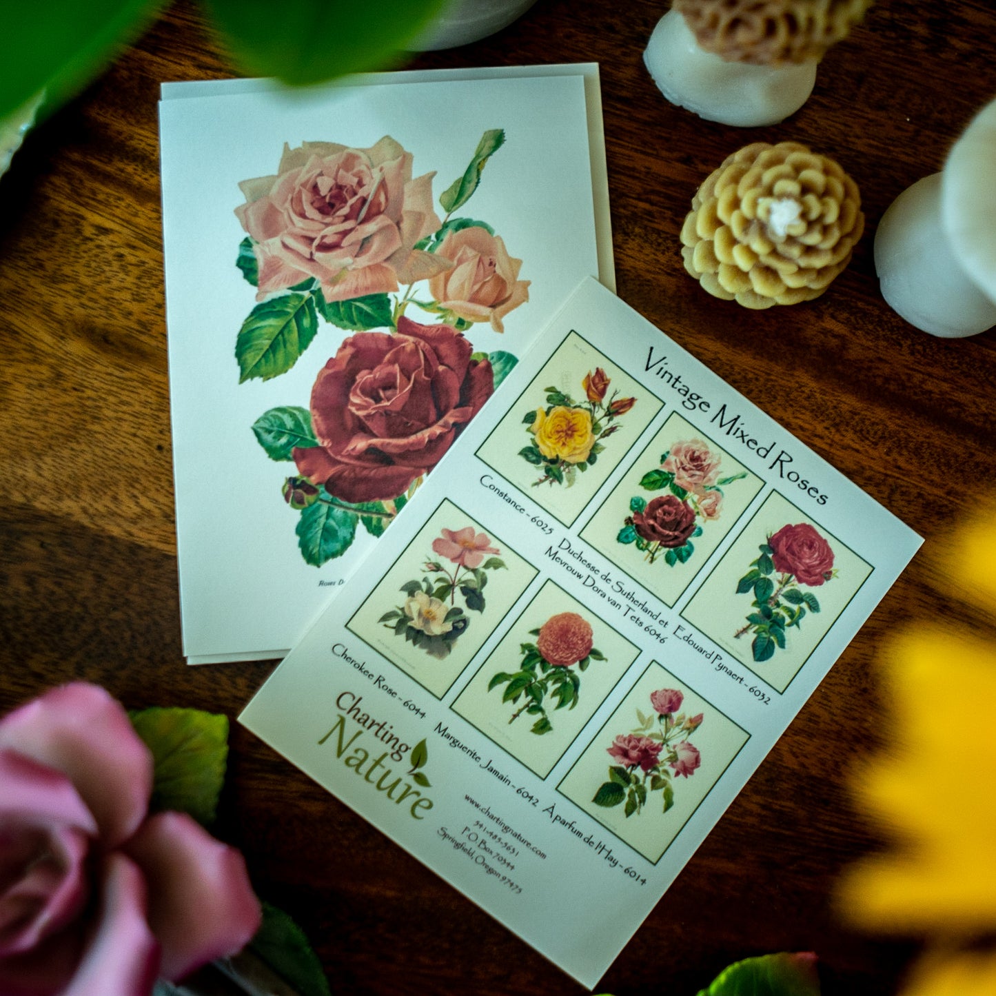 Mixed Roses | Vintage Botanical Note Card Set