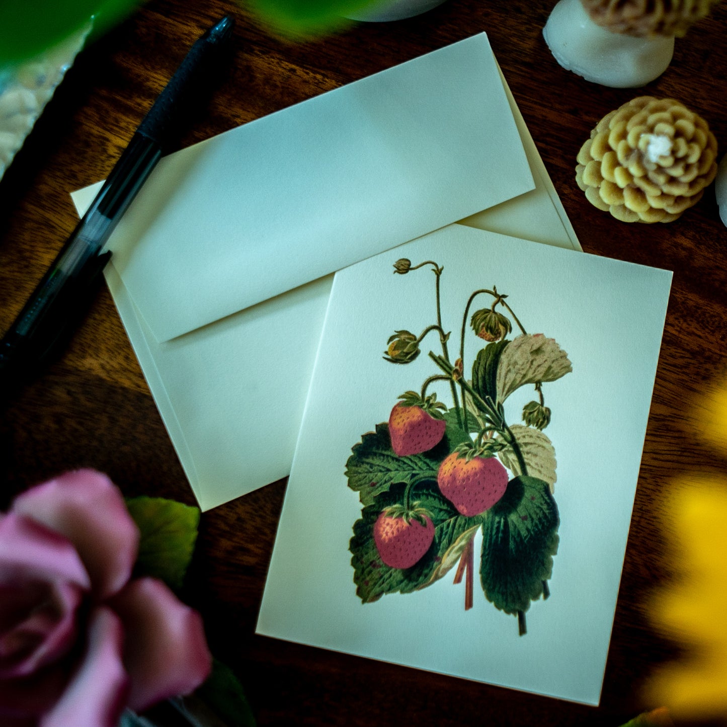 Fruit | Vintage Fruit Botanical Note Card Set