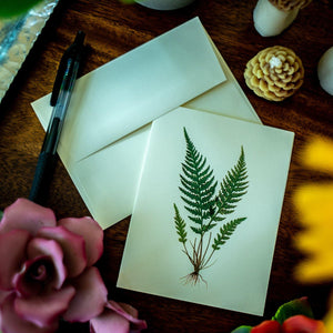 Antique Fern Notecards - Charting Nature