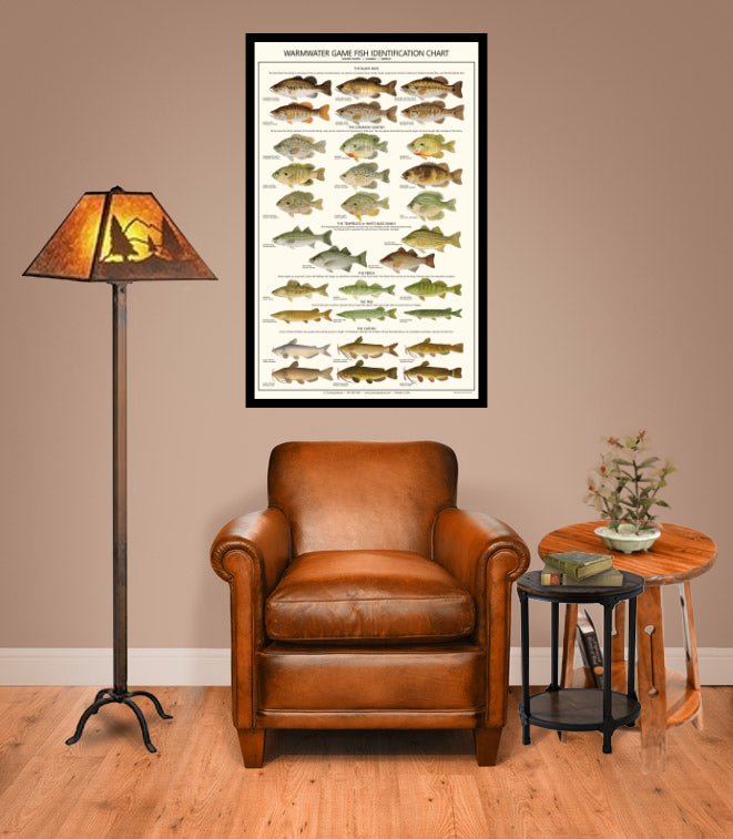 Fish Poster | Warmwater Gamefish Identification Chart. A gamefish fisherman's reference guide.