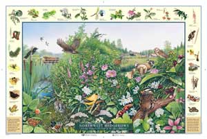 Northwest Hedgerows Art Poster