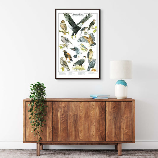 Eagles and Hawks | Birds of Prey Poster Vol. 1