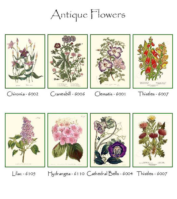 Vintage Botanical Flower Notecards