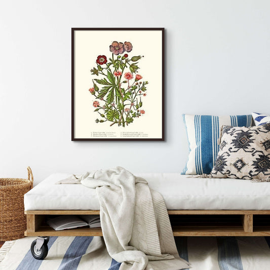Cranesbill | Flower/Floral Art Print