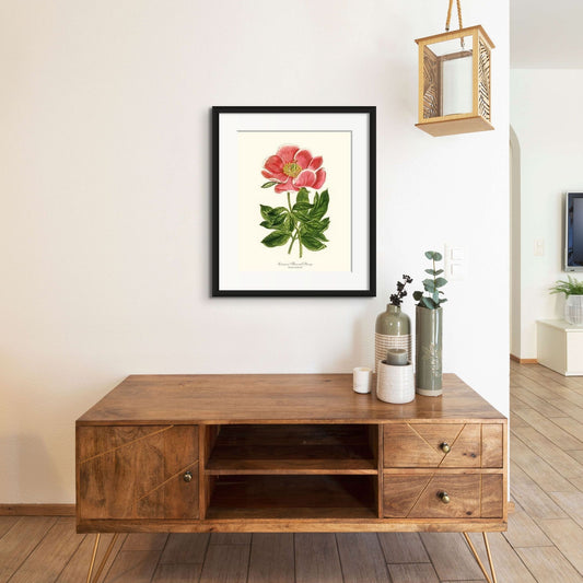 Peony, Crimson Flowered | Flower/Floral Art Print
