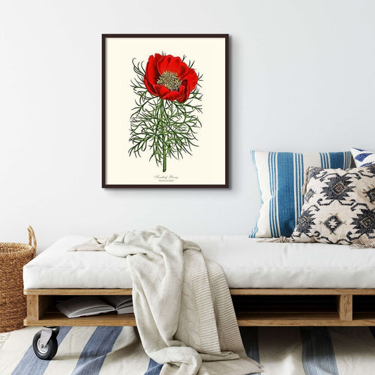 Peony, Fernleaf | Flower/Floral Art Print