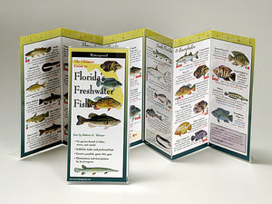 Florida's Freshwater Fishes - Folding Guide - Charting Nature