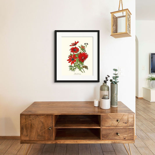 Anemone, Flame | Flower/Floral Art Print