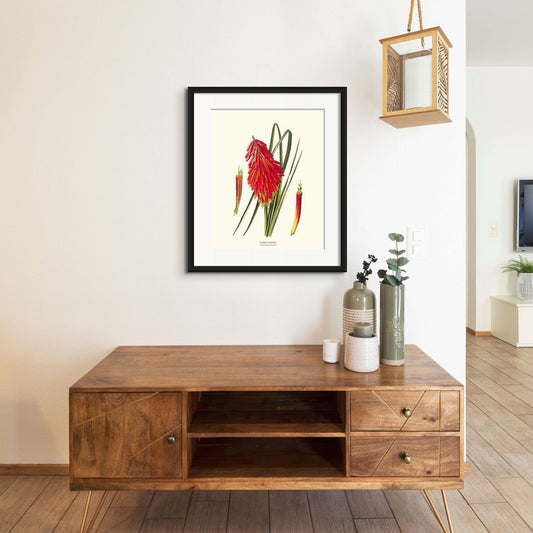 Flame Flower | Flower/Floral Art Print