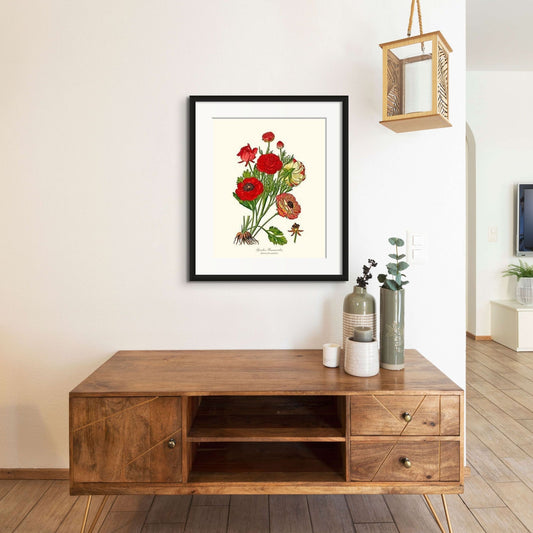 Ranunculus, Garden | Flower/Floral Art Print