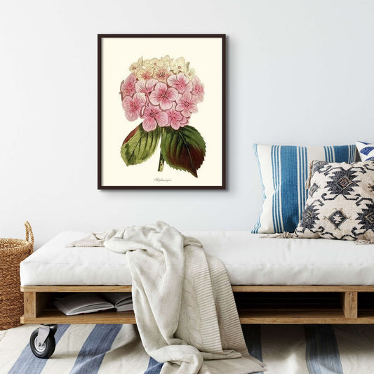 Hydrangea | Flower/Floral Art Print